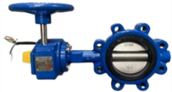 BUTTERFLY VALVES, LUG TYPE