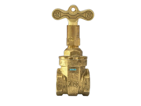 Lock Shield valve