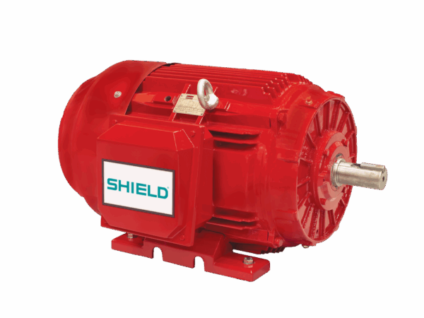 Totally Enclosed Fan Cooled Motor