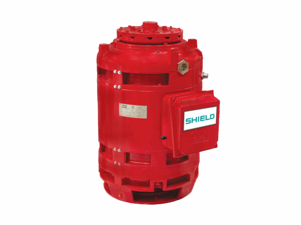 Vertical Hollow Shaft Motor